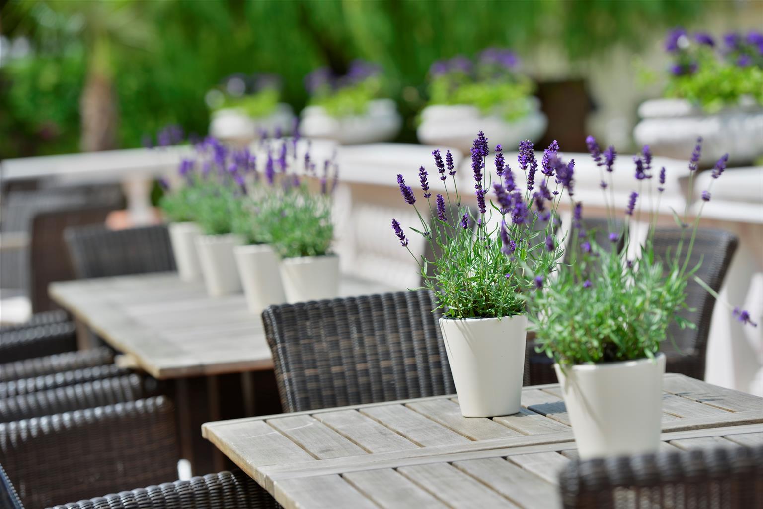 Hotel Der Lindenhof 4*